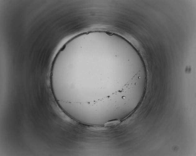 X0000101411296200807281017