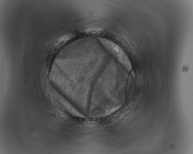 X0000101411297200807281016