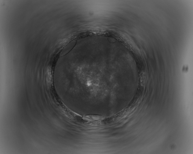 X0000101411298200807281016