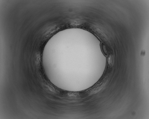 X0000101411299200807281016