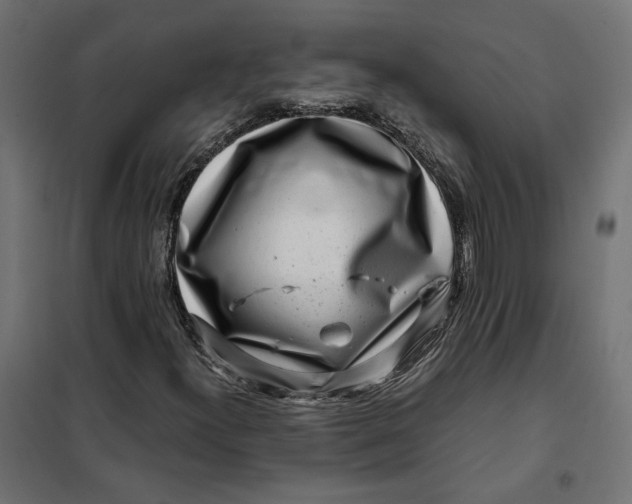 X0000101411300200807281016