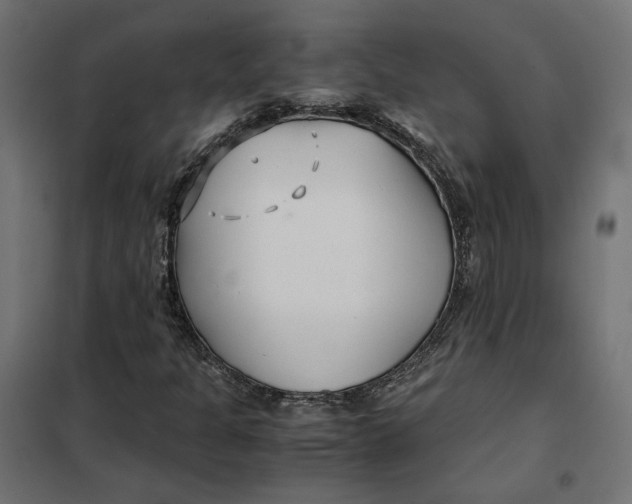 X0000101411301200807281016