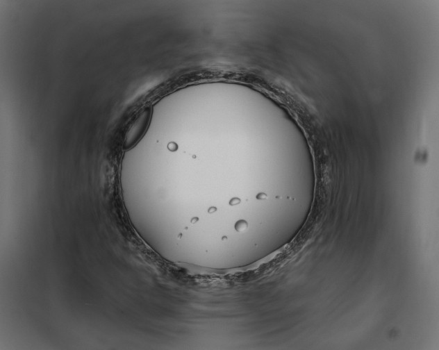 X0000101411302200807281016