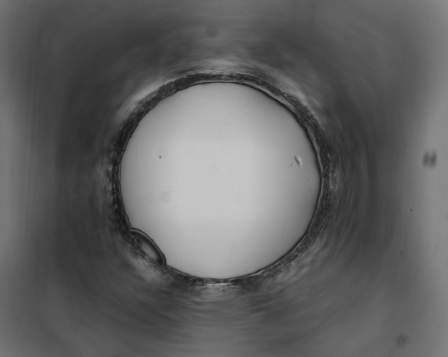 X0000101411304200807281016