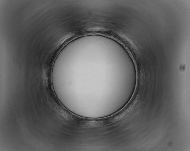 X0000101411305200807281016