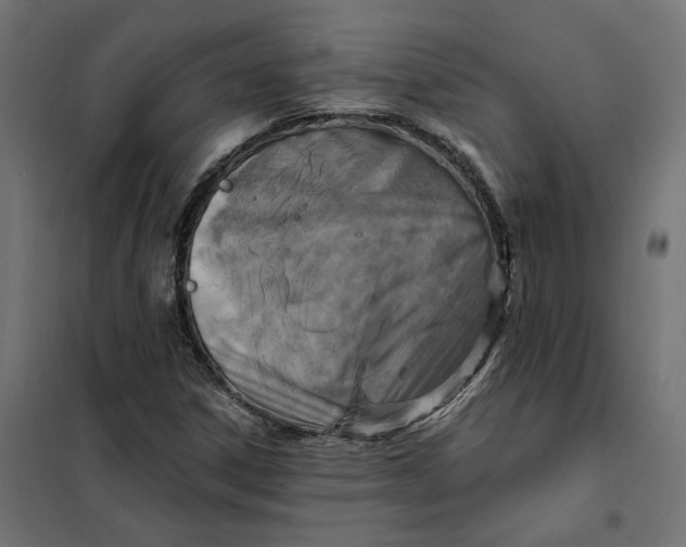 X0000101411306200807281016