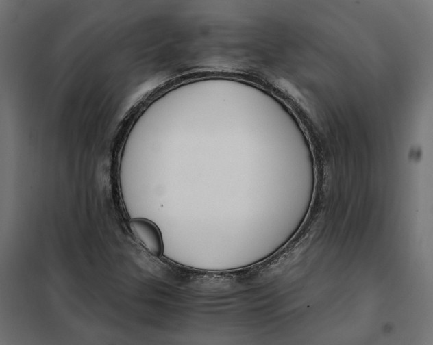 X0000101411307200807281016