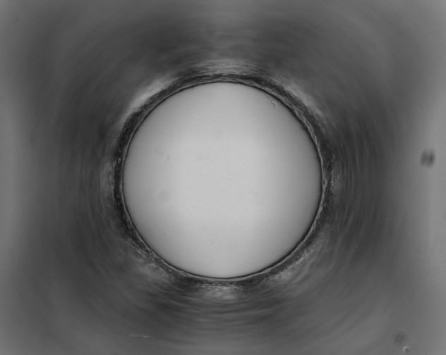 X0000101411309200807281016