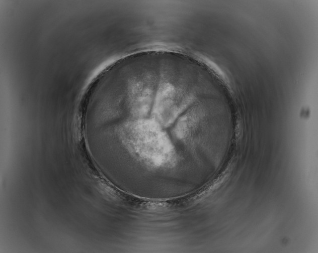 X0000101411310200807281016