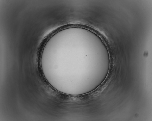 X0000101411311200807281016