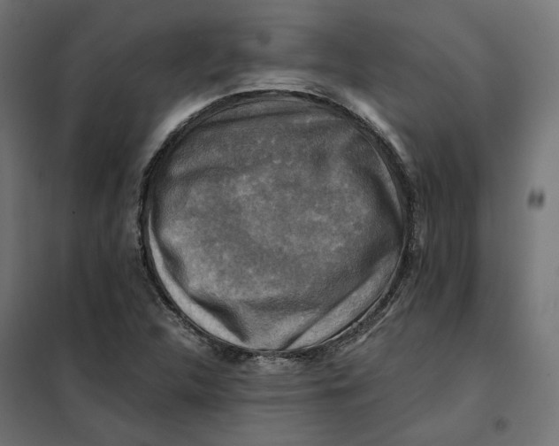 X0000101411312200807281016