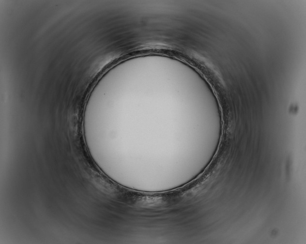 X0000101411313200807281016