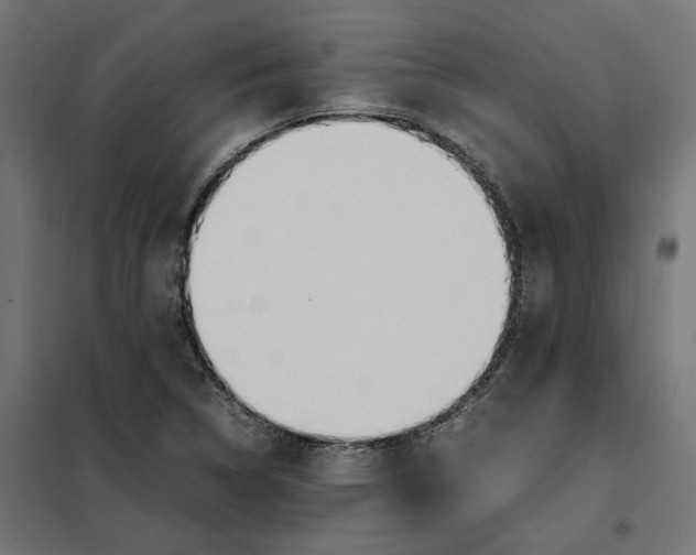 X0000101411314200807281016