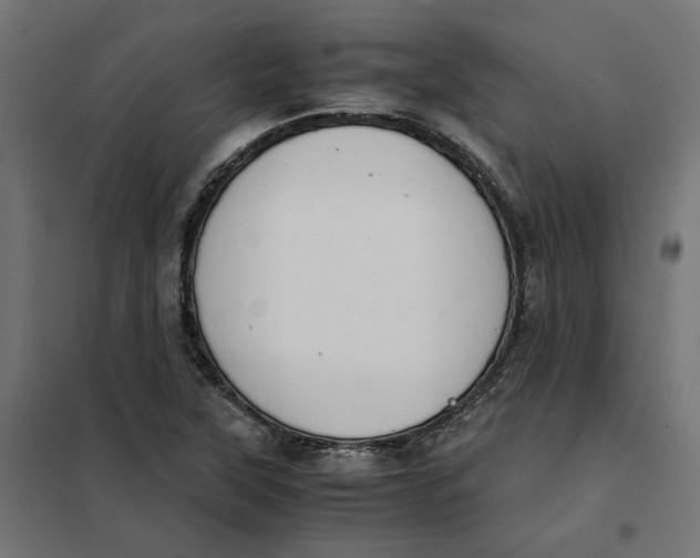 X0000101411315200807281016