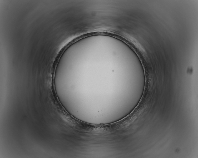 X0000101411316200807281016