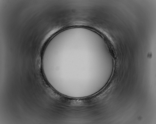 X0000101411317200807281016