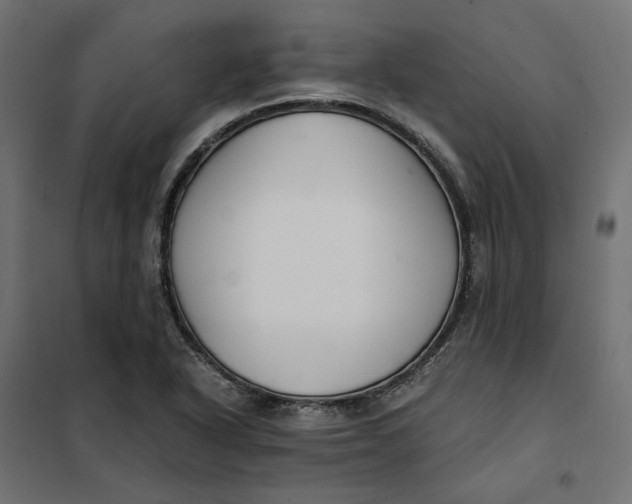 X0000101411318200807281016