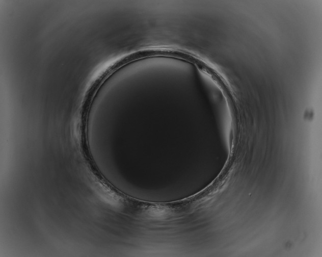 X0000101411319200807281016