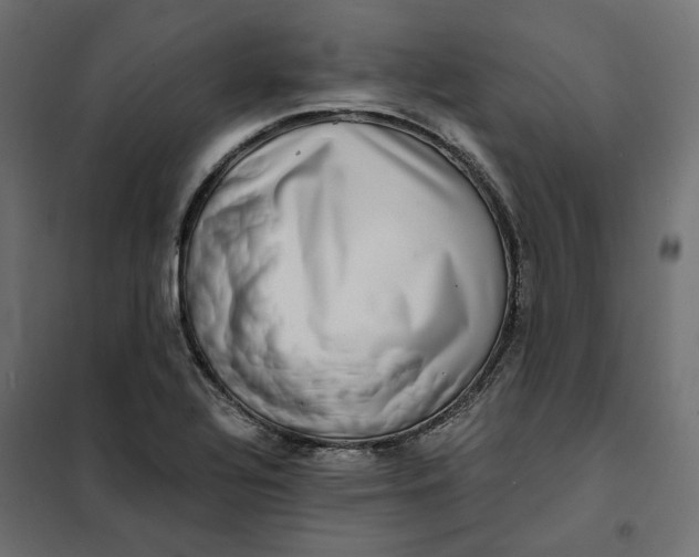 X0000101411320200807281016