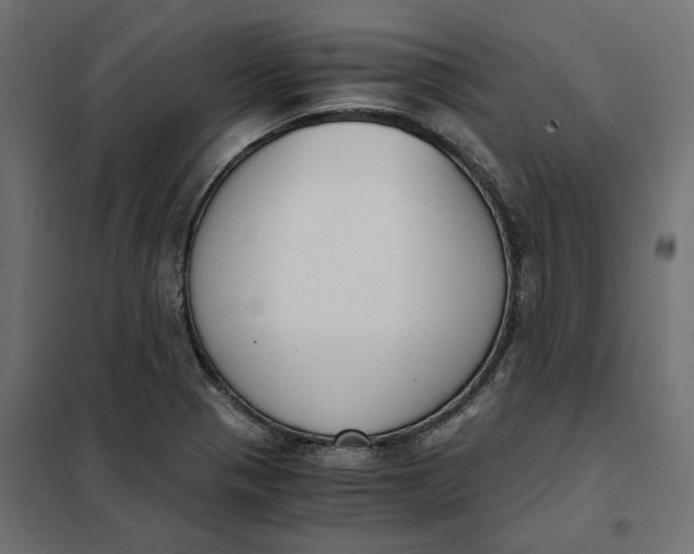 X0000101411321200807281016