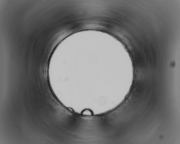 X0000101411322200807281016