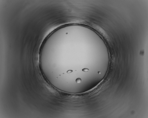 X0000101411324200807281016