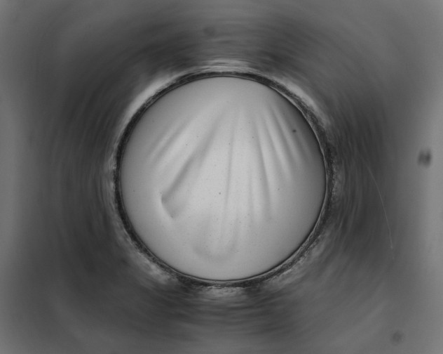 X0000101411325200807281016