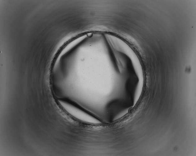 X0000101411326200807281016