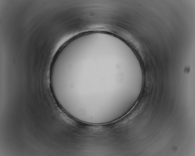 X0000101411328200807281016