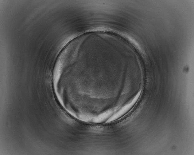 X0000101411329200807281016