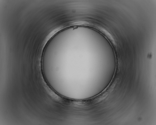 X0000101411330200807281016