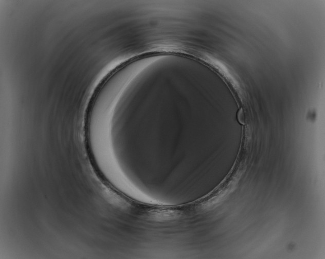 X0000101411331200807281016