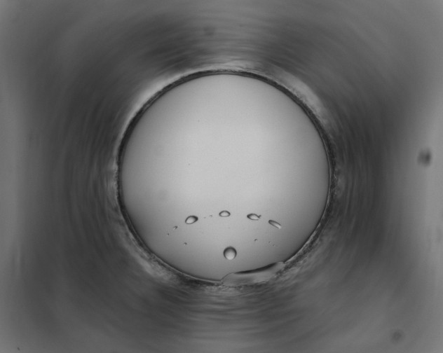 X0000101411332200807281016