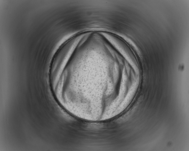 X0000101411333200807281016