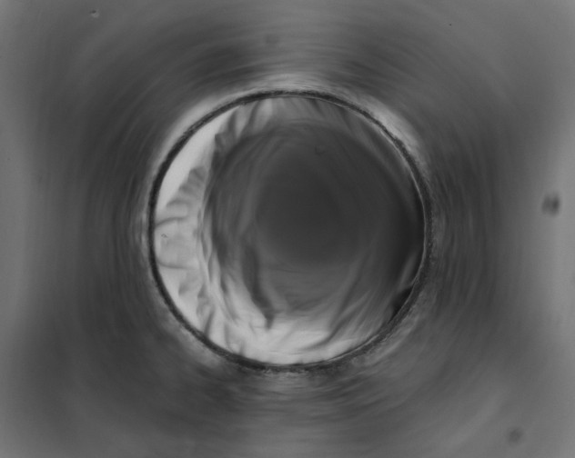 X0000101411334200807281016