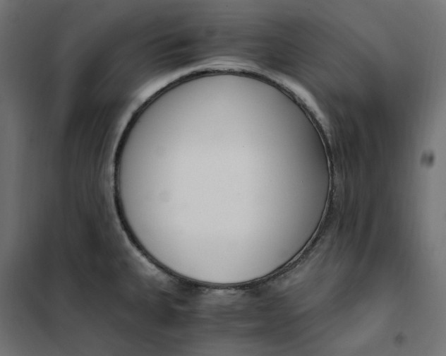 X0000101411335200807281016