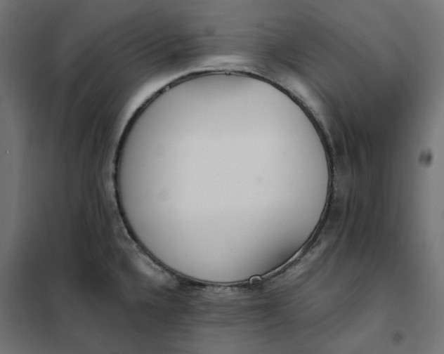 X0000101411336200807281016