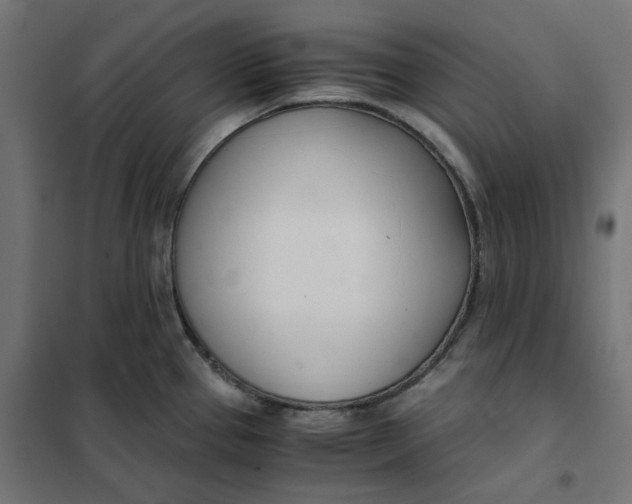 X0000101411337200807281016