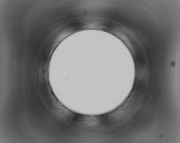 X0000101411338200807281016