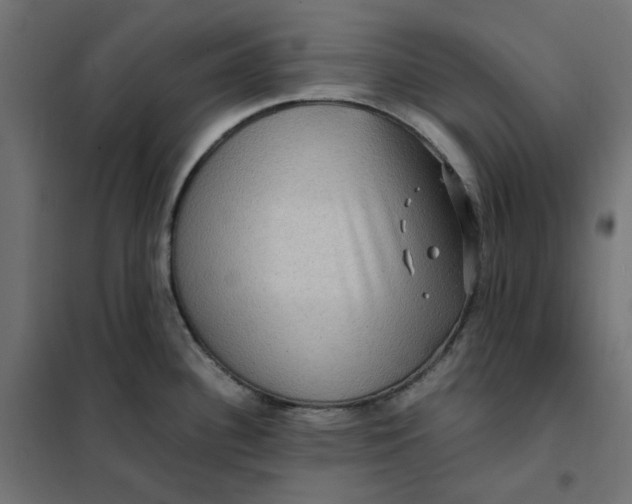 X0000101411340200807281016