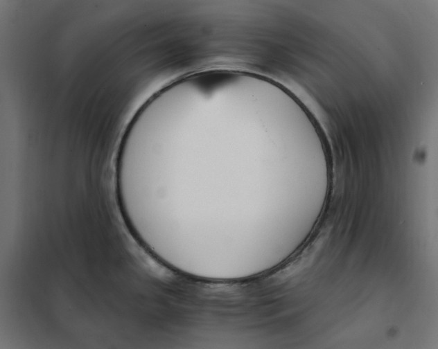 X0000101411341200807281016