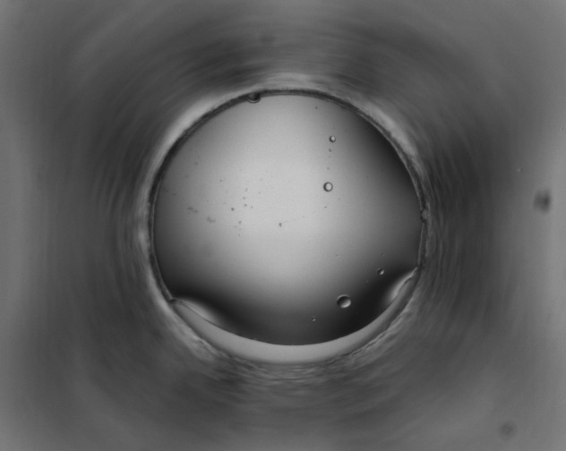 X0000101411342200807281016