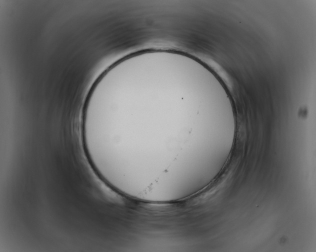 X0000101411343200807281016