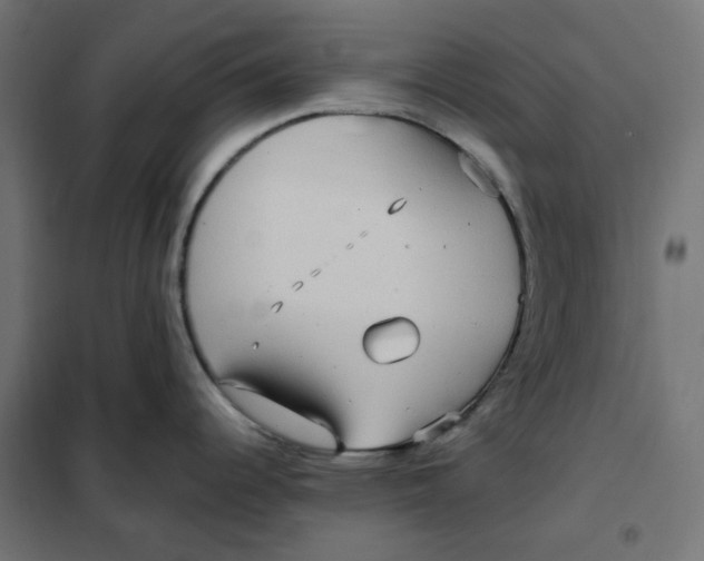 X0000101411344200807281017