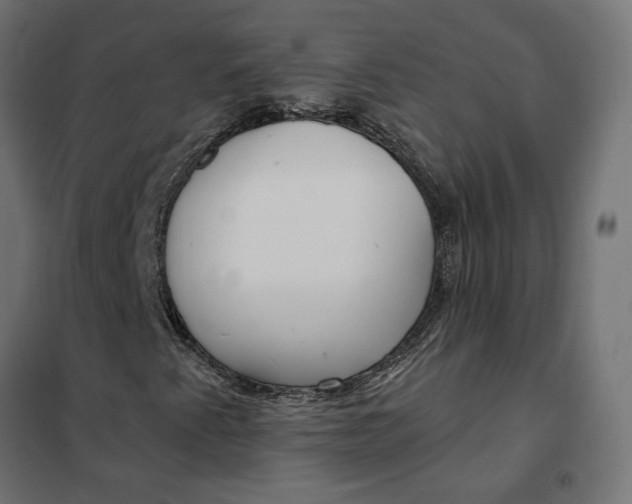 X0000101411345200807281016