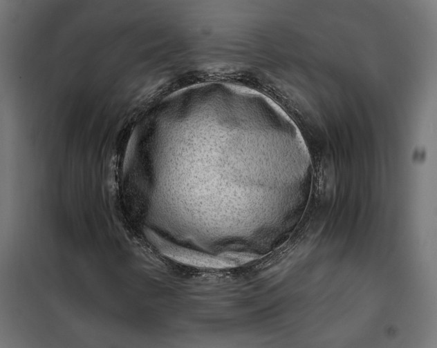 X0000101411346200807281016