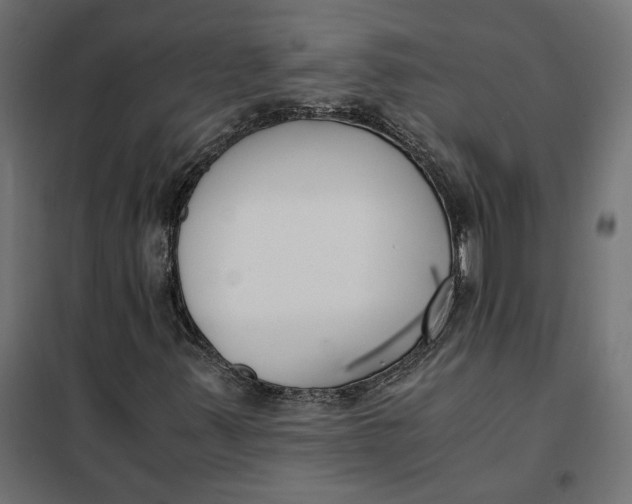 X0000101411347200807281016