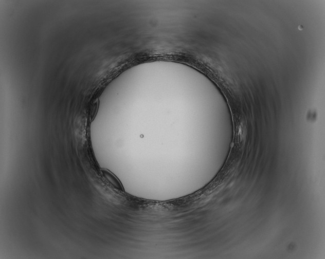 X0000101411348200807281016