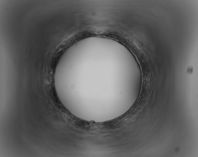 X0000101411349200807281016