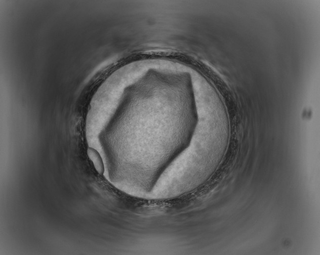 X0000101411351200807281016